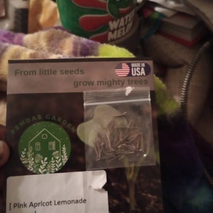 Melissa added a photo of their purchase