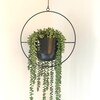 thumbnail image 2 of Lambs Ear Spray Artificial Greenery – 68cm Sage Grey Green Faux Flowers & Foliage Stems By Floral Land 2 of 4