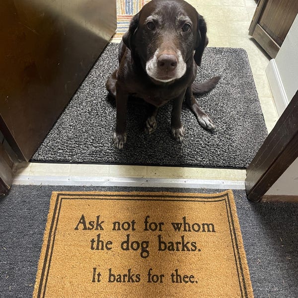 Ask Not for Whom the Dog Barks, It Barks for