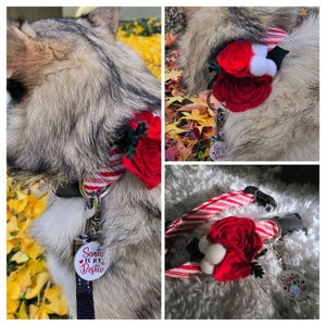 Susan added a photo of their purchase