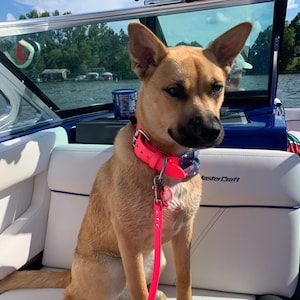 Jordyn added a photo of their purchase