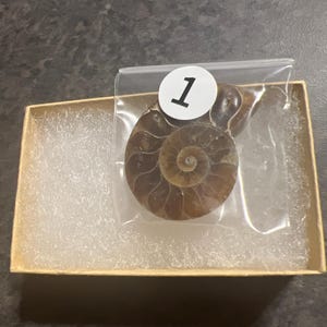 Gabriella a ajouté une photo de son achat