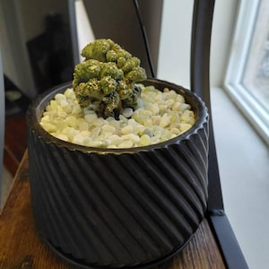 Sharon added a photo of their purchase