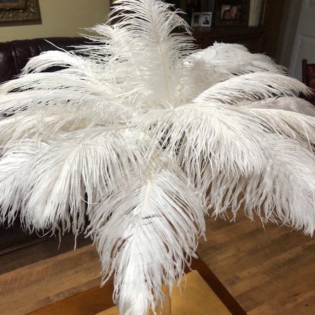 SALE 100 Pcs 12-14 White Ostrich Feathers/ Wholesale Lot/bulk Lot/ Fast  Shipping/ Great Gatsby/ Feather Centerpiece/ Hollywood Glam -  Sweden