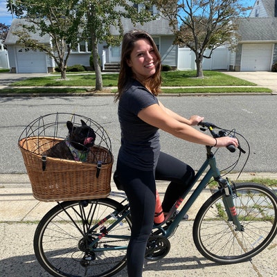 PET Dog Cat Wicker Carrier Basket, Bike Carrier Basket, Bicycle Animal Carrier Basket, Large - Etsy