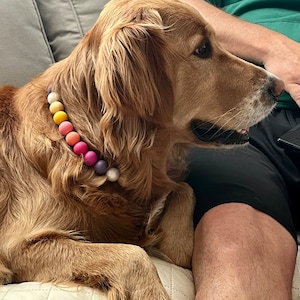 Leah added a photo of their purchase