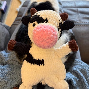 Jae heeft een foto van de aankoop toegevoegd