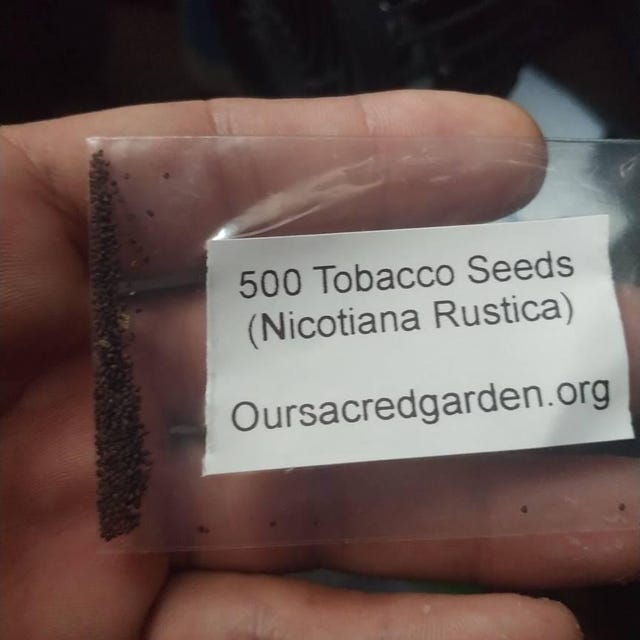 sacred tobacco seeds Cherokee Ceremonial Similar to Aztec in plant form 301+MIDEWIWAN Sacred TOBACCO Seeds Native