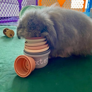 Lindsey added a photo of their purchase