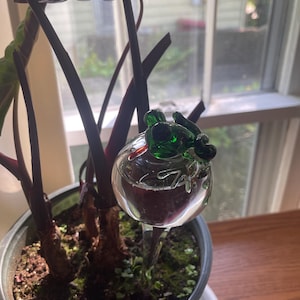 Maddie added a photo of their purchase