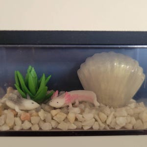 Colleen added a photo of their purchase
