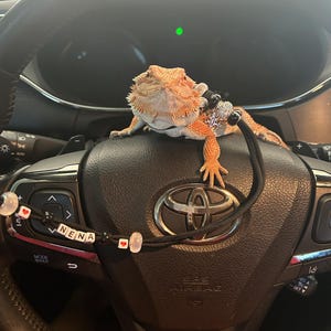 Anisa added a photo of their purchase