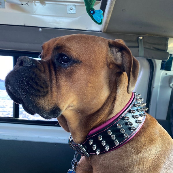 Bestia Genuine Leather Dog Collar with Screw Spikes and Soft Leather Cushion. Wide. Durable. Longlasting. Padded. Pitbull. Bulldog. Bully. APBT. Rottweiler. Cane Corso. Handmade in Europe! main image 0