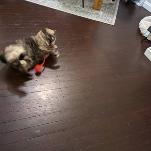 Alexa added a photo of their purchase