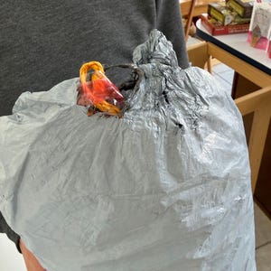 Ellen added a photo of their purchase