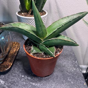 Mary added a photo of their purchase