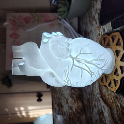 Human Heart 3D Printed Accent Lamp, Anatomical, Table Lamp, Novelty