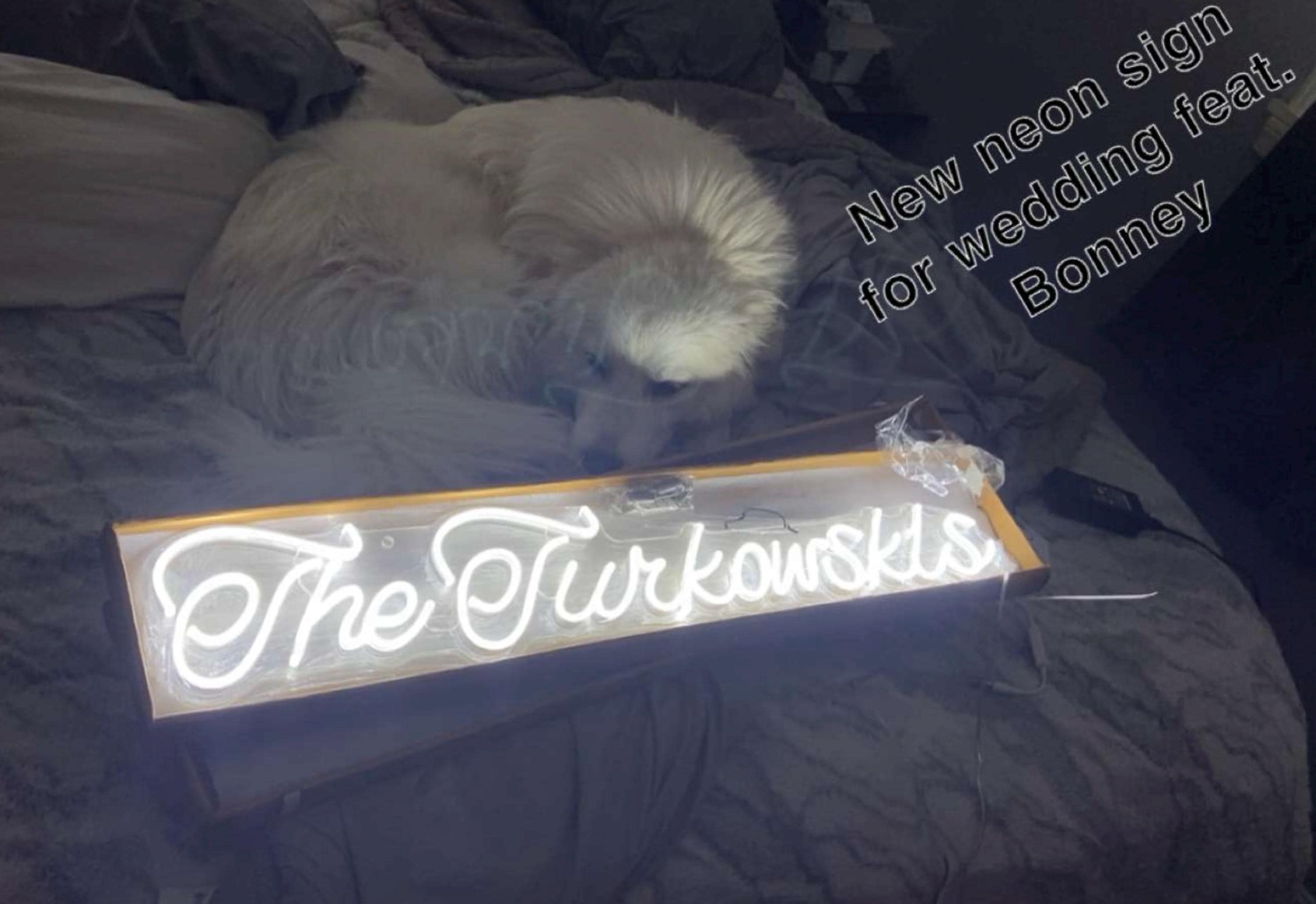 Custom Neon Sign | Neon sign for Bedroom | Neon Sign Home Decor | LED Neon Sign | Anniversary Gifts | Party Neon Sign | Wedding Neon Sign
