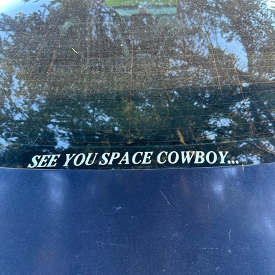 Rocket Raccoon the Rabbit is Correct Decal / Sticker / Label - Etsy