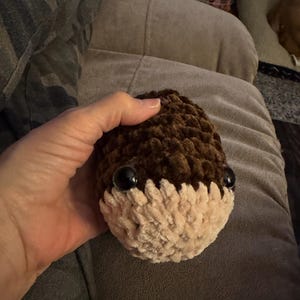 Carol added a photo of their purchase