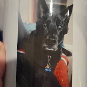 Linda added a photo of their purchase