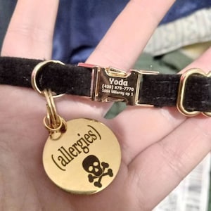 Roxanne a ajouté une photo de son achat