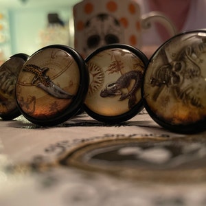 Amanda added a photo of their purchase