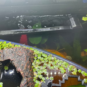 Shannon added a photo of their purchase