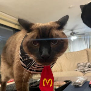 Sijun adicionaram uma foto da sua compra