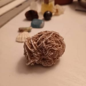 Shelley ha aggiunto una foto del proprio acquisto