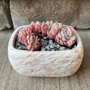 Vanessa ha añadido una foto de su compra