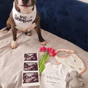 Rebecca added a photo of their purchase