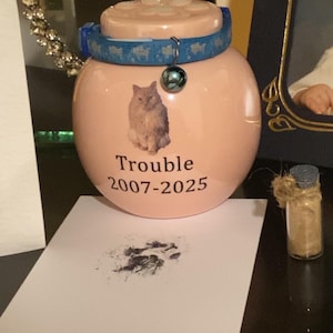 Gemma ha aggiunto una foto del proprio acquisto