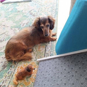 yvonne added a photo of their purchase