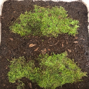 Komal heeft een foto van zijn/haar aankoop toegevoegd