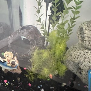 Debra added a photo of their purchase