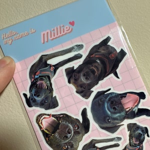 Mack さんが購入した商品の写真を追加しました