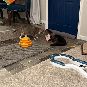 Gina added a photo of their purchase