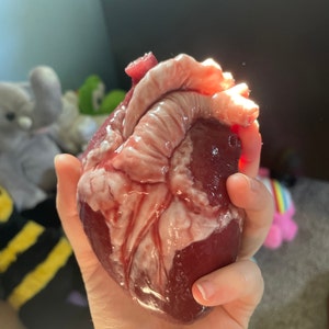 Human heart bag – My Monsters SFX