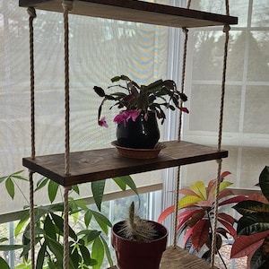 Paula added a photo of their purchase