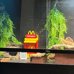 Jennifer added a photo of their purchase
