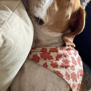 Louise added a photo of their purchase