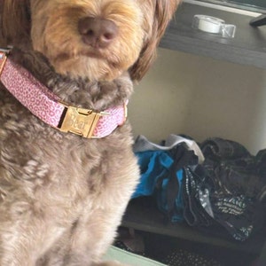 Maggie added a photo of their purchase