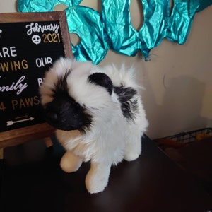 keeshond plush