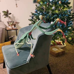 Shylene added a photo of their purchase