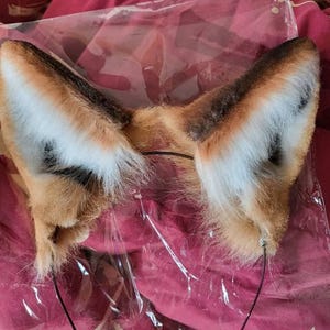 PACKOVE Fascia per Capelli Orecchie di Animale Coda in PACKOVE Fascia per Capelli Orecchie di Animale Coda in