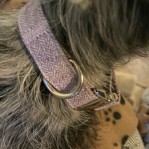 annie added a photo of their purchase