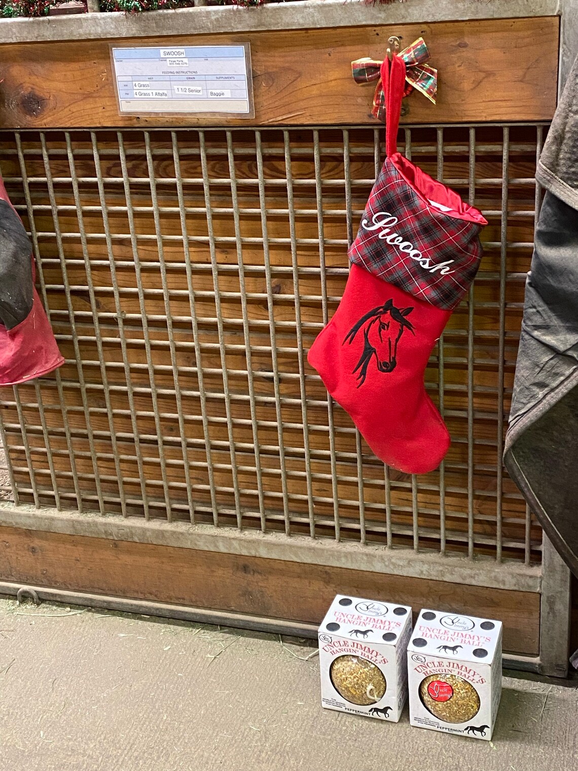 Customer photo of a pet with the Horse Christmas Stocking. Stocking Size