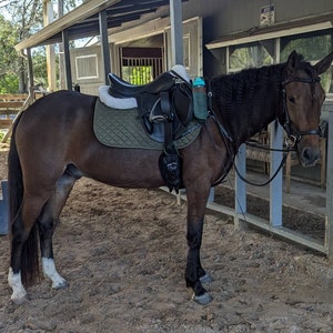 Caitlin added a photo of their purchase
