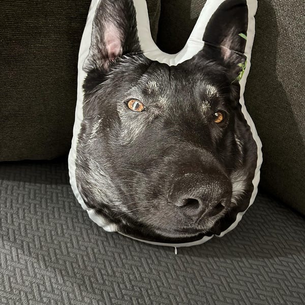 We Love Our Pets - Dog & Cat Personalized Custom Pillow - Gift For Pet Owners, Pet Lovers